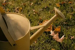 75+ Fall Bucket List Ideas — Cozy Autumn Activities for 2026