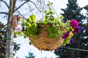 50+ Spring Bucket List Ideas — Fresh Activities for March, April & May